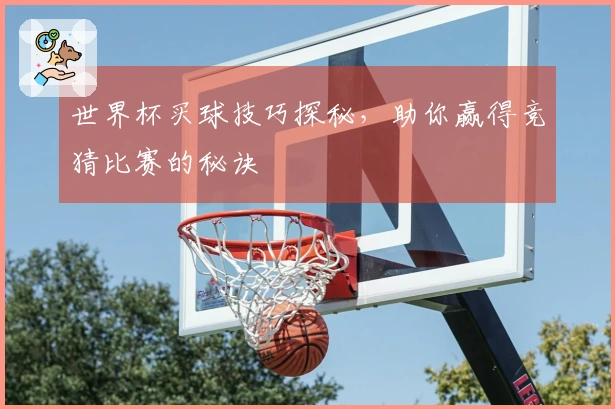 世界杯买球技巧探秘，助你赢得竞猜比赛的秘诀