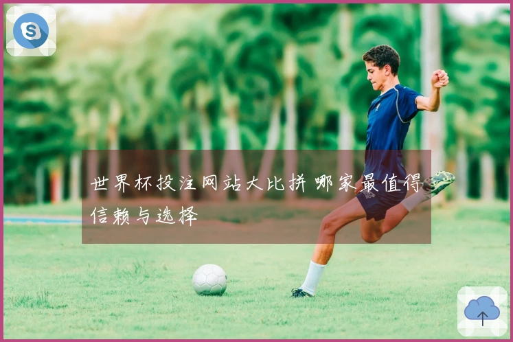 世界杯投注网站大比拼 哪家最值得信赖与选择