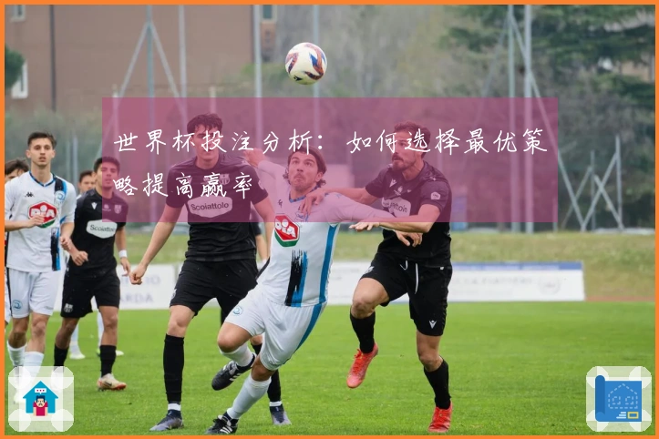 世界杯投注分析：如何选择最优策略提高赢率