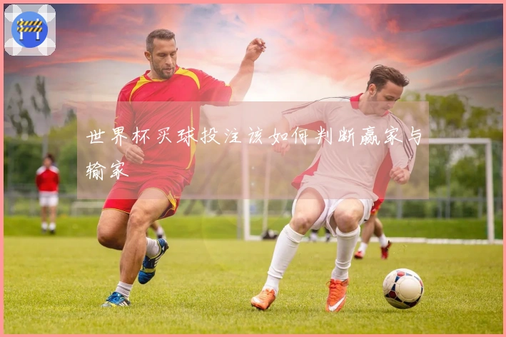 世界杯买球投注该如何判断赢家与输家