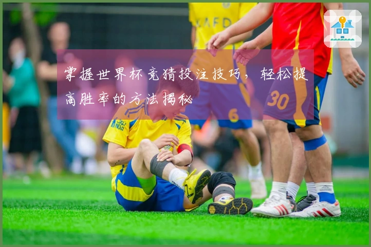 掌握世界杯竞猜投注技巧，轻松提高胜率的方法揭秘