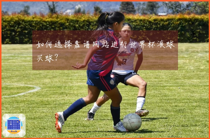 如何选择靠谱网站进行世界杯滚球买球？