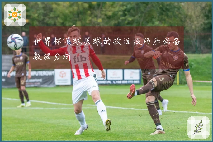 世界杯滚球买球的投注技巧和必备数据分析