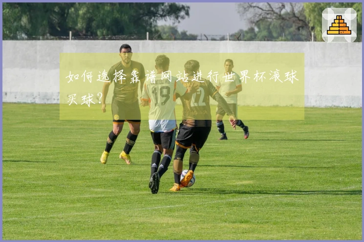 如何选择靠谱网站进行世界杯滚球买球？