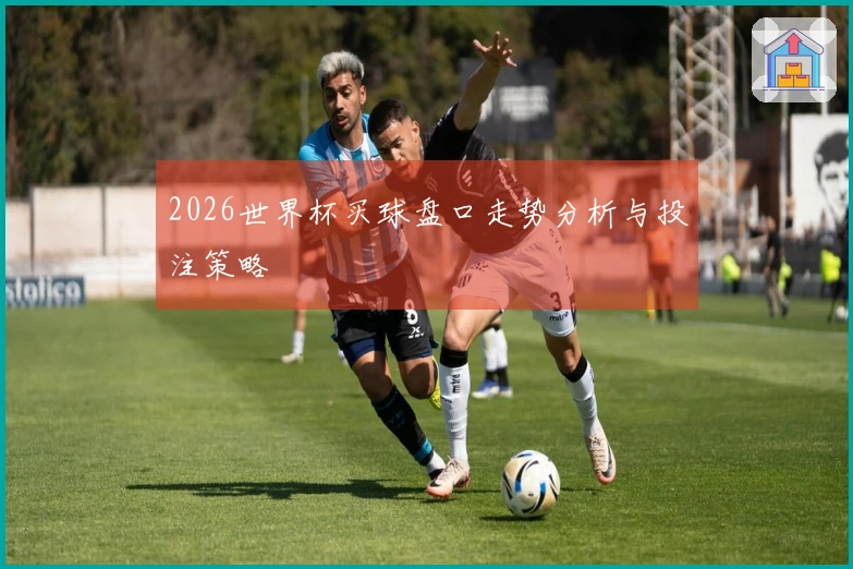2026世界杯买球盘口走势分析与投注策略
