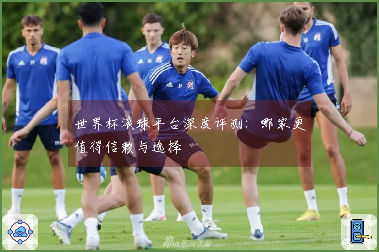 世界杯滚球平台深度评测：哪家更值得信赖与选择