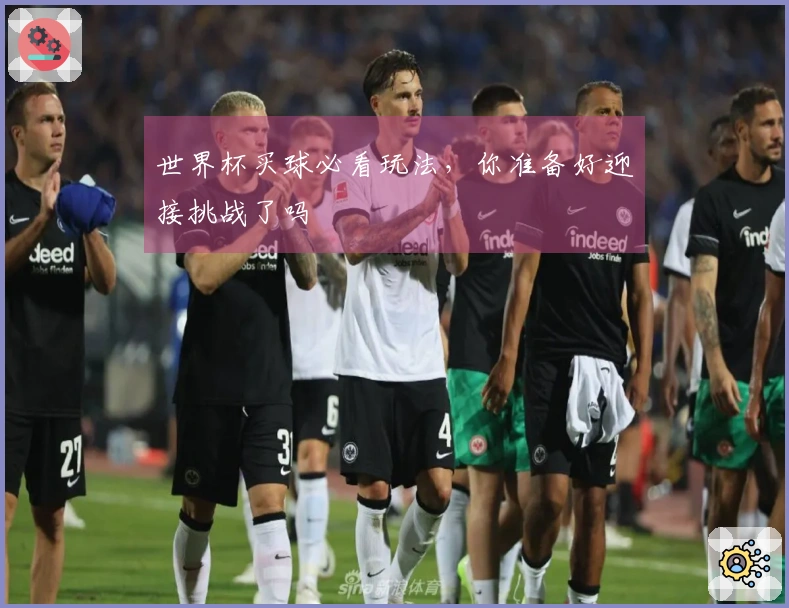 世界杯买球必看玩法，你准备好迎接挑战了吗